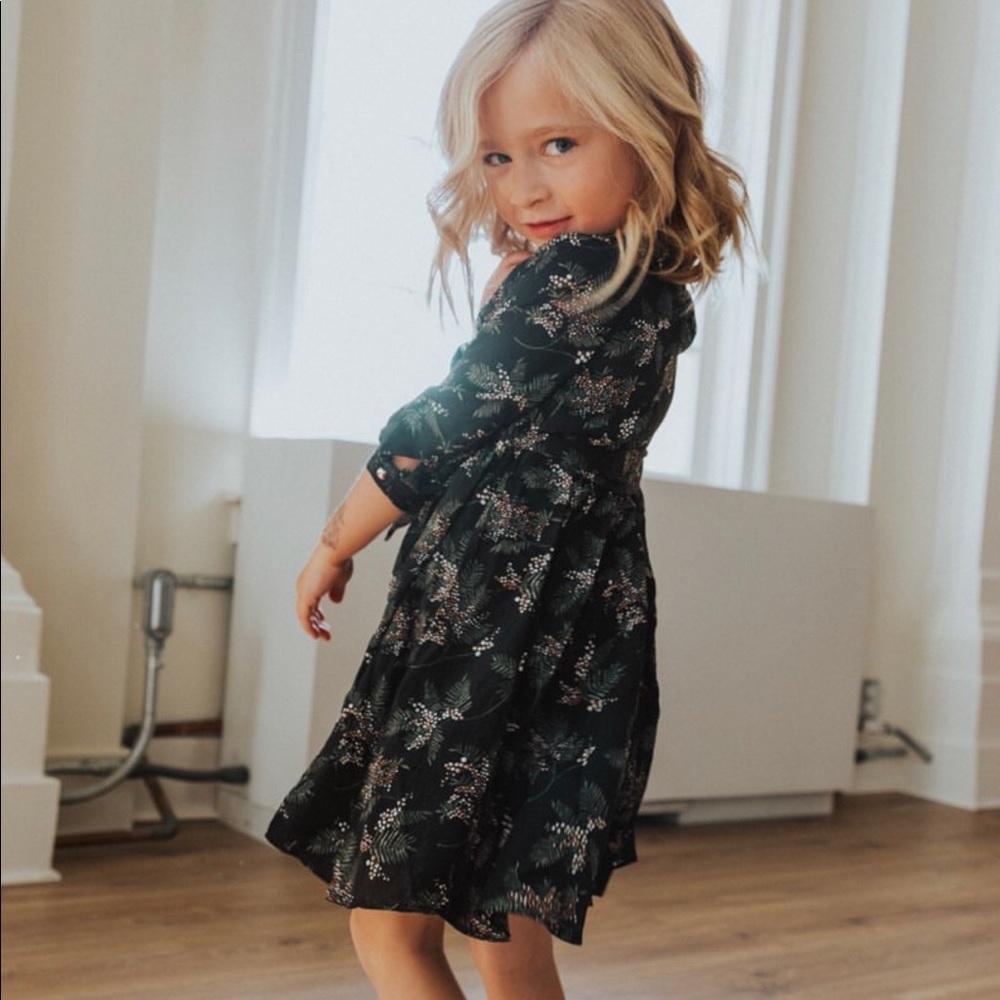 Ivy City Co Holly Berry Dress